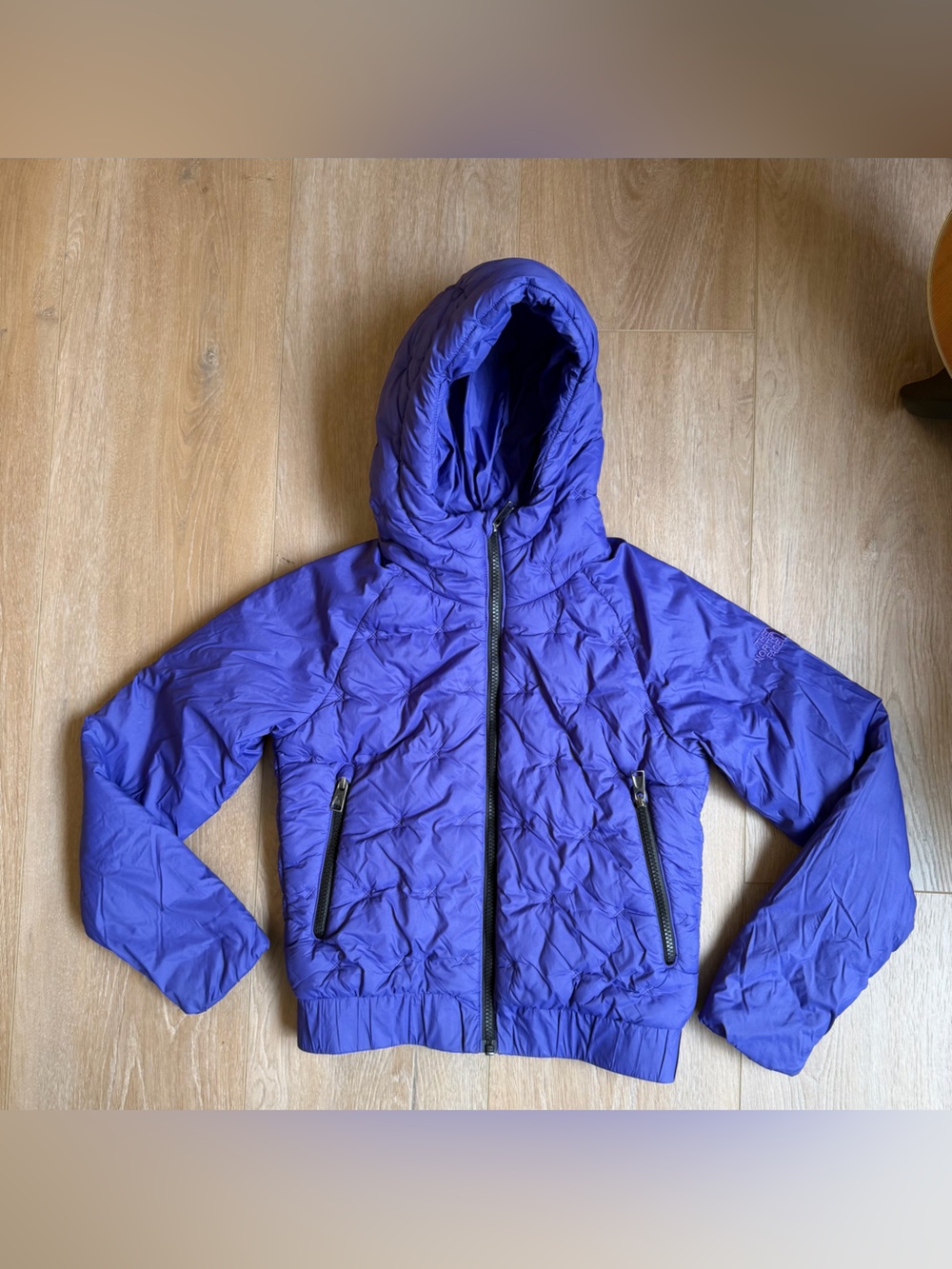 The North Face Kids Electric Purple Hooded Puffer Jacket
